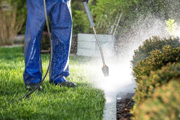 Curb Cleaning in Waterloo