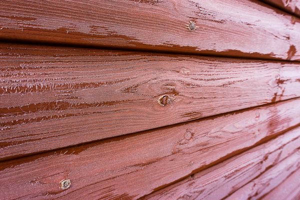 Cedar Siding Cleaning in Waterloo