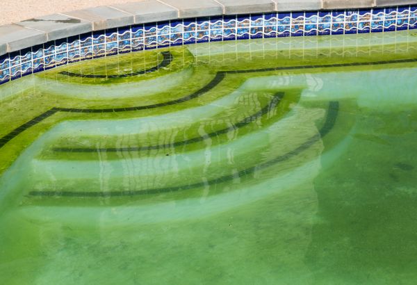 Pool Deck Algae Removal in Waterloo