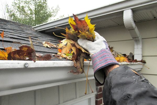 Eaves Cleaning in Waterloo