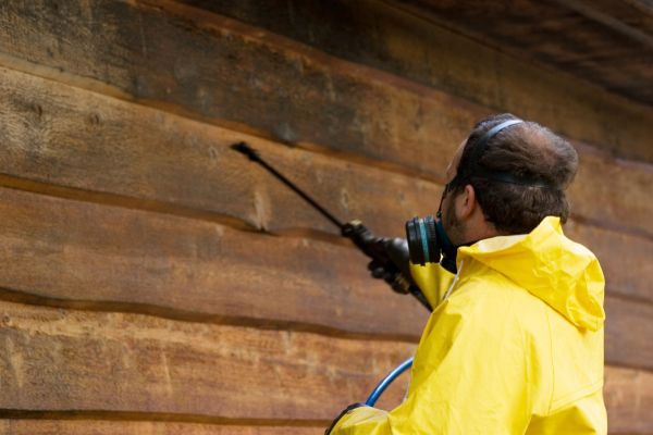 Cedar Siding Washing in Waterloo