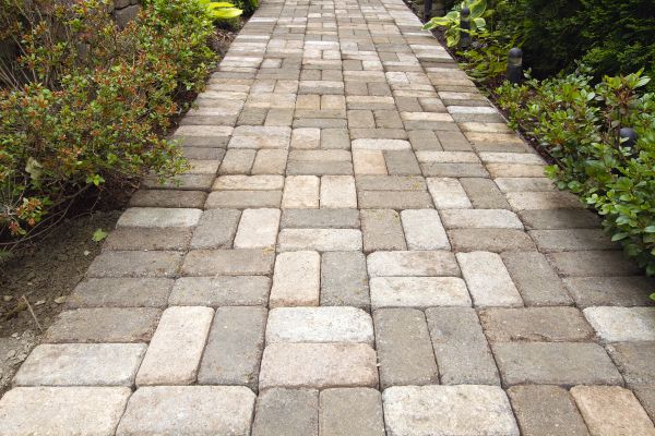 Paver Walkway Cleaning in Waterloo