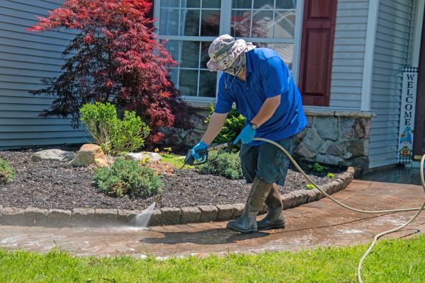 Brick Walkway Cleaning in Waterloo