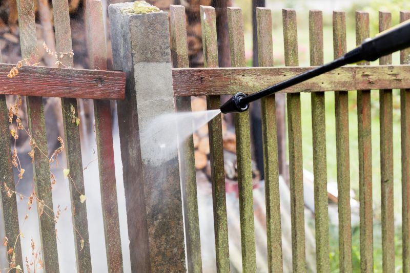 Vinyl Fence Cleaning